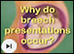 who-why-breech-ecv