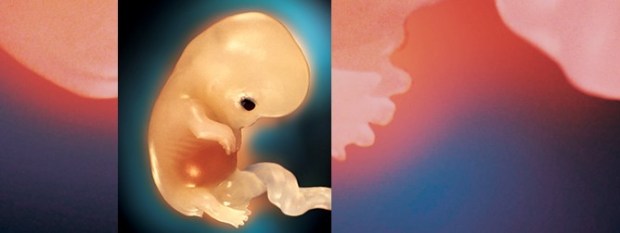 adbusters_80_childbirth