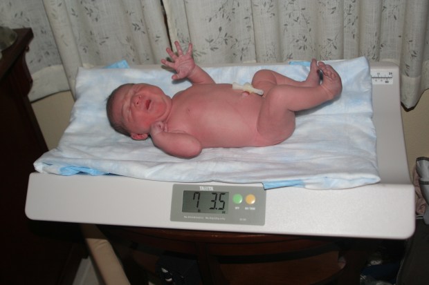 7 lb, 3 oz