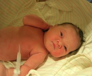 image-3931619-35797336-2-websmall_0_dd0f5a04af6e73346ed777299ec88556_1