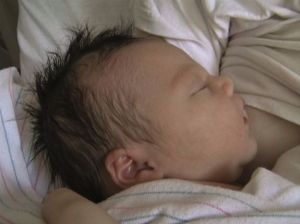 image-3931619-35797337-2-websmall_0_de81a801162c5ec2066f5210d18a59cb_1